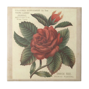 Antikes Damast Roter Rosenfliesen/Trivet Fliese