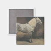 Antikes Dapple Grey Magnet (Vorderseite/Rückseite)