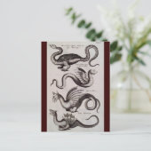 Antikes Drachengraben aus dem 18. Jahrhundert Postkarte (Stehend Vorderseite)