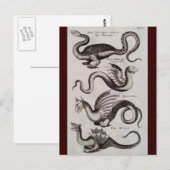 Antikes Drachengraben aus dem 18. Jahrhundert Postkarte (Vorne/Hinten)