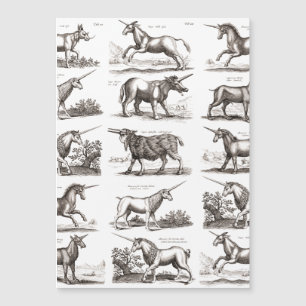 Antikes Einhorn-Gravur Vintage-Zoologie-Exemplar Magnetkarte