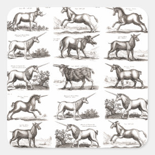 Antikes Einhorn-Gravur Vintage-Zoologie-Exemplar Quadratischer Aufkleber