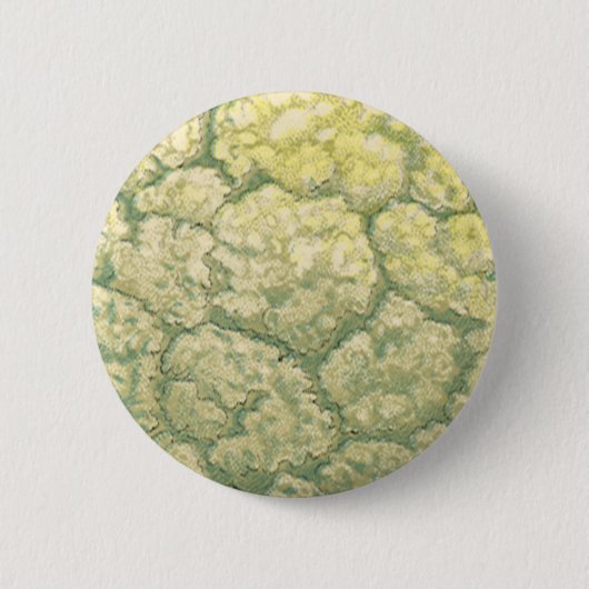 Antikes Essen Gemüse Blumenkohl Button (Vorderseite)