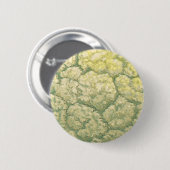 Antikes Essen Gemüse Blumenkohl Button (Vorne & Hinten)