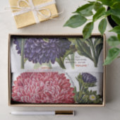 Antikes extravagantes Aster-Katalog-Seidenpapier Seidenpapier (Geschenk)