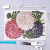 Antikes extravagantes Aster-Katalog-Seidenpapier Seidenpapier (Handwerk)