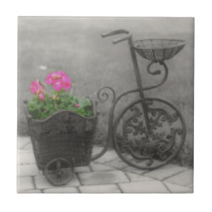 Antikes Fahrrad und Blumen in Schwarzweiss Fliese