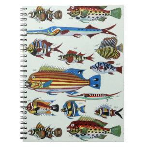 Antikes farbenfrohes exotisches Fisch-Naturgeschic Notizblock