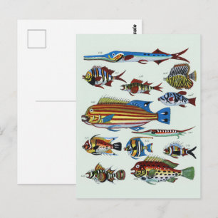Antikes Farbige Exotische Fische Naturhistorischer Postkarte