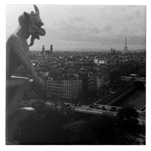 Antikes Frankreich Paris Notre-Dame-Kathedrale Teu Fliese