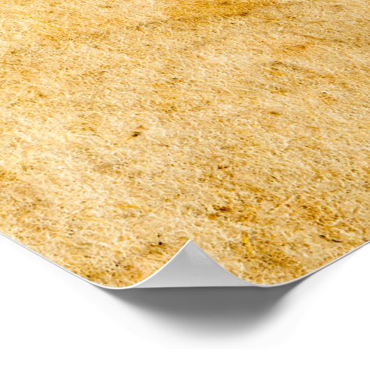 Antikes französisches Papiermuster - Hintergrund Poster (Ecke)