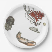 Antikes französisches Porzellan Sommelierkoralle C Pappteller (Vorderseite)