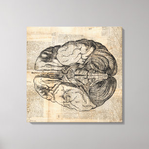 Antikes Gehirndiagramm Altmodische Kunst Leinwanddruck
