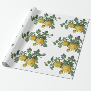 Antikes gelbes Rosenmalerei-Geschenkpapier Geschenkpapier