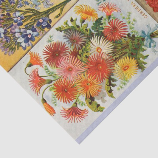 Antikes glänzendes Farbsommer-Blumen-Seidenpapier Seidenpapier (Ausschnitt)