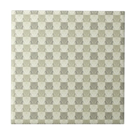 Antikes Grau Beige geprägtes Muster Fliese (Vorderseite)