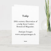 Antikes Gravieren einer roten Tulip-Grußkarte Karte (Rückseite)