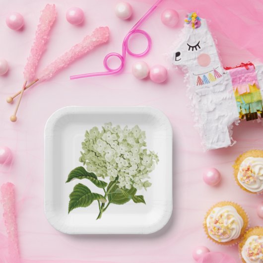 Antikes hellgrün und weiß Hydrangea Blossom Pappteller (Party)