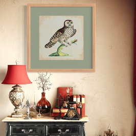 Antikes italienisches Eulat Gravur Vintage Natur Poster