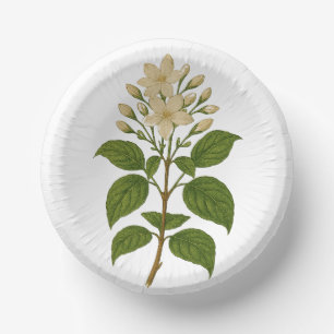 Antikes Jasmin Pappteller