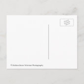 Antikes Kampfflugzeug Doppeldecker Träumer Postkarte (Rückseite)