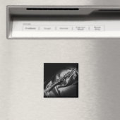 Antikes Klarinettenleben, B&W Magnet (In Situ (Geschirrspüler))