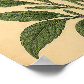 Antikes Lavendel auf verwittertem Papier Poster (Ecke)