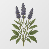 Antikes Lavendel Fensteraufkleber (Blatt)
