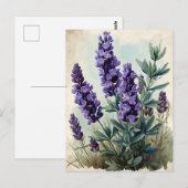 Antikes Lavendel Postkarte (Vorne/Hinten)