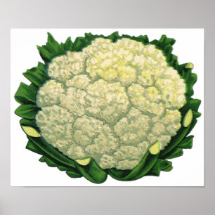 Antikes Lebensmittel Gemüse Blumenkohl Poster