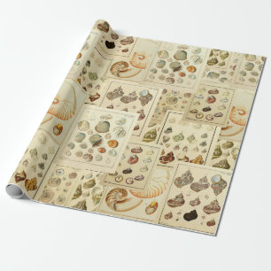 Antikes Muschel-Wrap für Decoupage oder Geschenkve Geschenkpapier