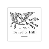 Antikes mythisches Pegasus Ex Libris Buch Gummistempel (Prägung)