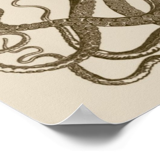 Antikes Octopus-Poster Poster (Ecke)