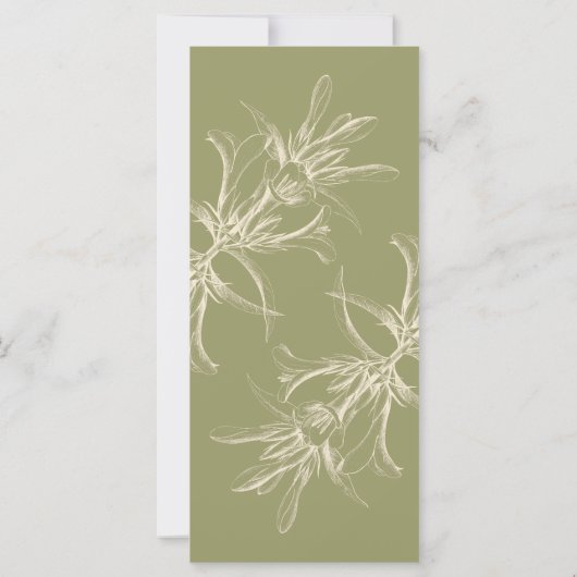 Antikes Olivenöl Bellinzona (Rückseite)