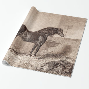Antikes Pferd Norfolk Cob Hackney Retro 1800er Geschenkpapier