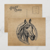 Antikes Pferd Postkarte (Vorne/Hinten)
