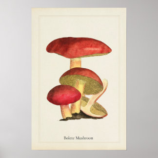 Antikes Pilzkunst-Druck Poster