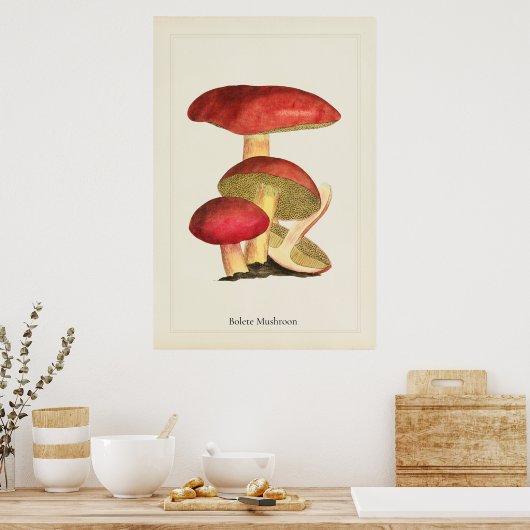 Antikes Pilzkunst-Druck Poster (Küche)