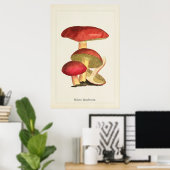 Antikes Pilzkunst-Druck Poster (Heimbüro)