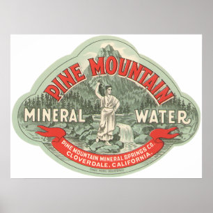 Antikes Produktetikett, Pine Mountain Mineralwasse Poster