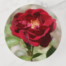 Antikes Rotrose-Schmucktablett