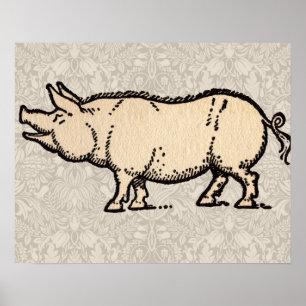 Antikes Schwein Süß Vintage Poster