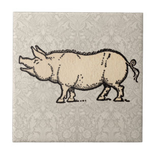 Antikes Schwein Süßes Vintage-Illustration Fliese
