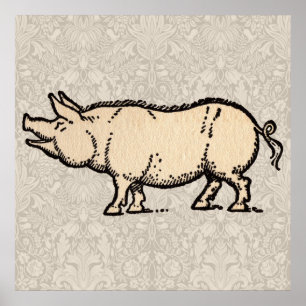 Antikes Schwein Süßes Vintage-Illustration Poster