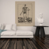 Antikes Skelett Menschenanatomisches Poster