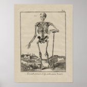 Antikes Skelett Menschenanatomisches Poster (Vorne)
