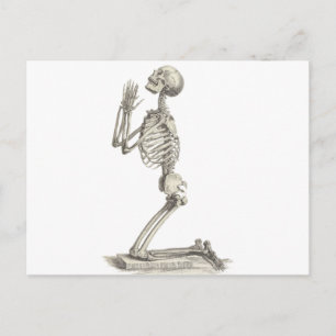 Antikes Skelett Postkarte