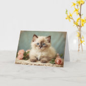 Antikes süßes Stoffkatzenbaby-Porträt Blumen Süß Karte (Gelbe Blume)