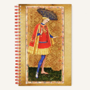 ANTIKES TAROT PAGE UND RITTER DER KELCHE NOTIZBLOCK
