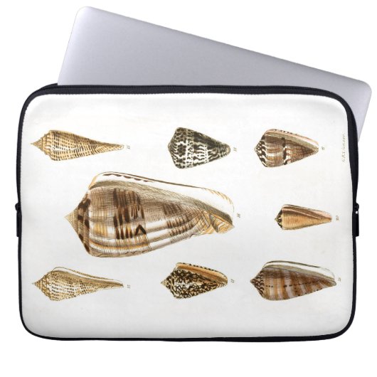 Antikes Trinket-Design mit Muscheln Laptopschutzhülle (Vorderseite)